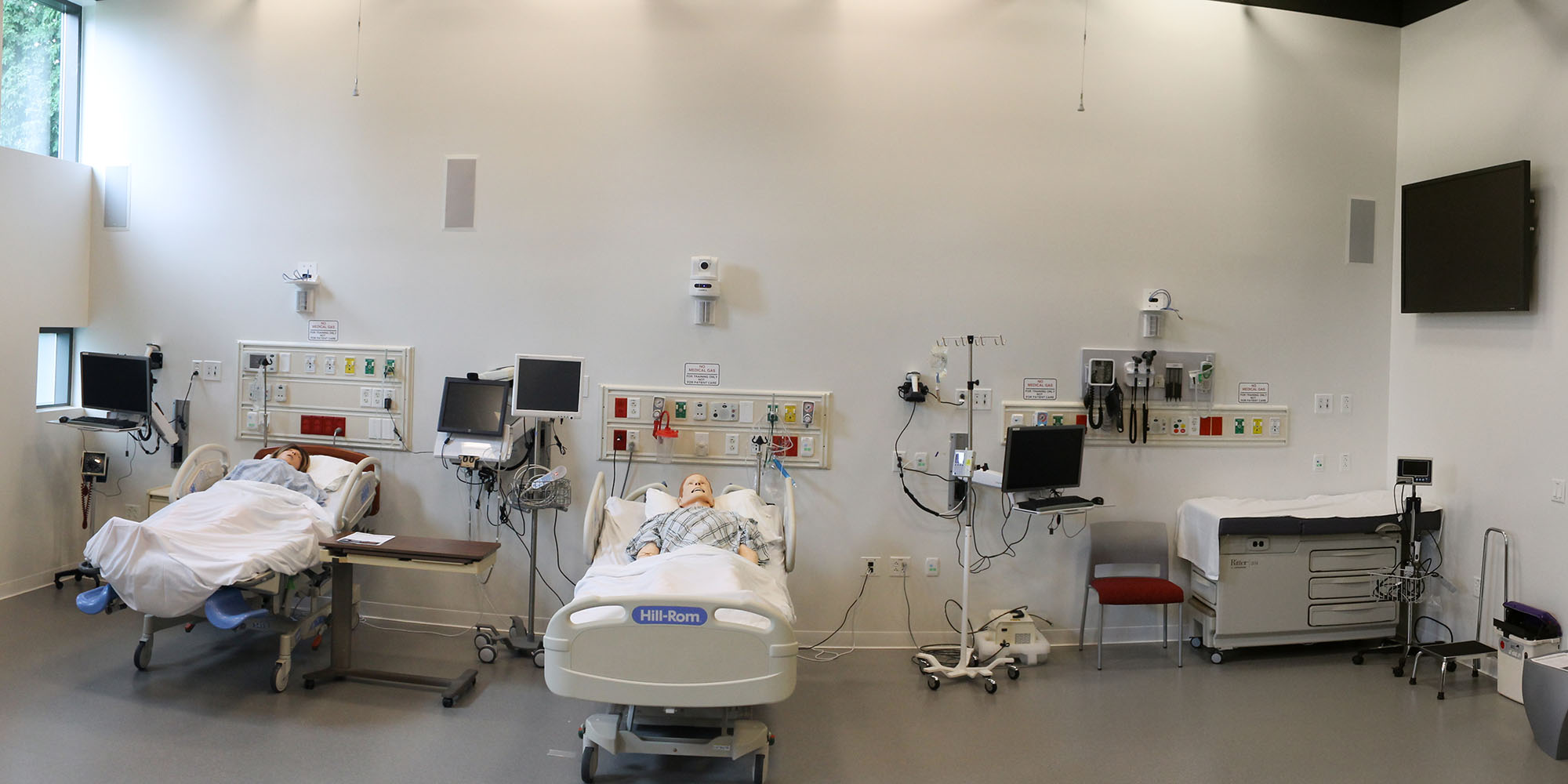 Simulation Program